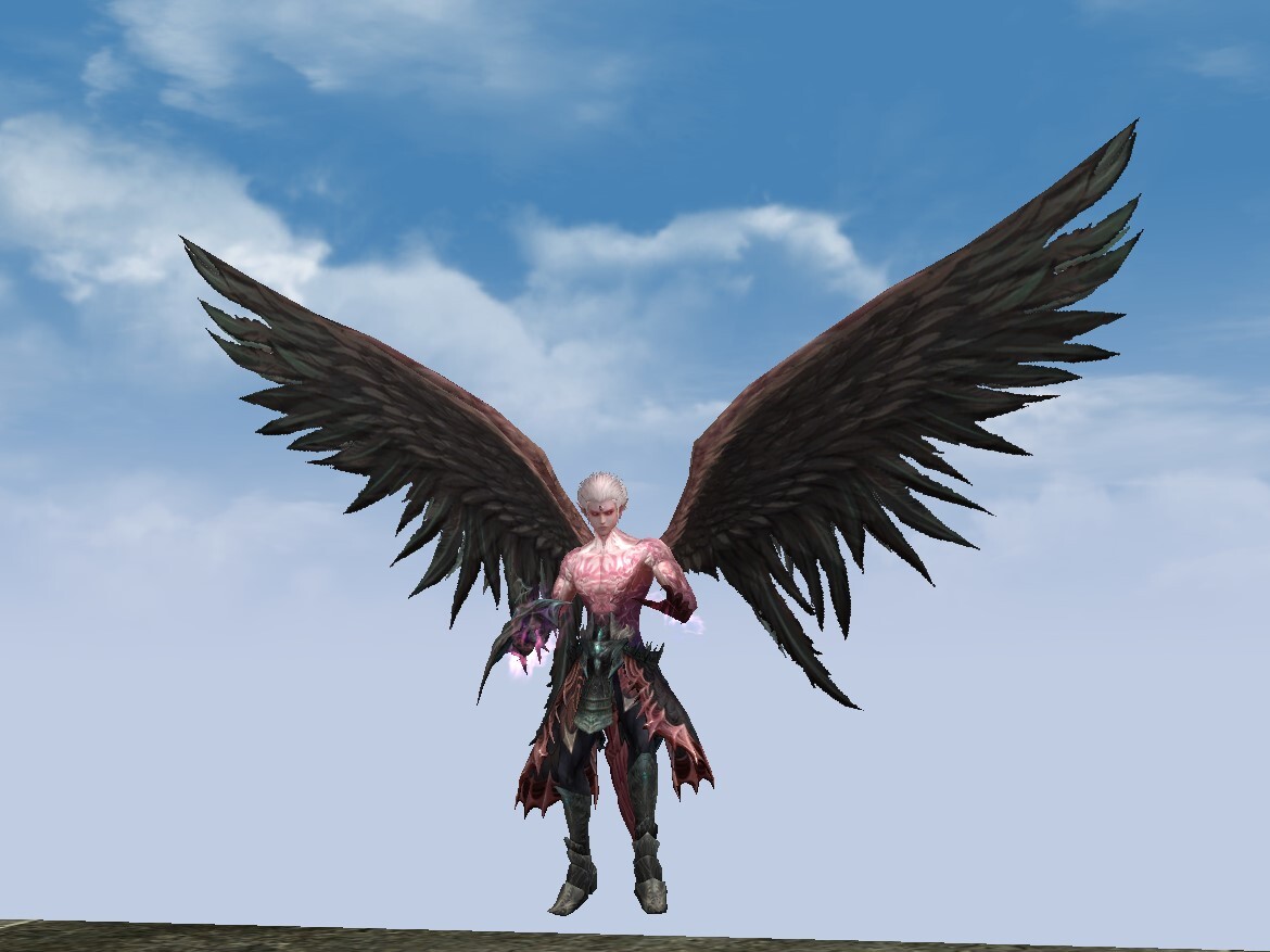 Final Flying Form Male l2