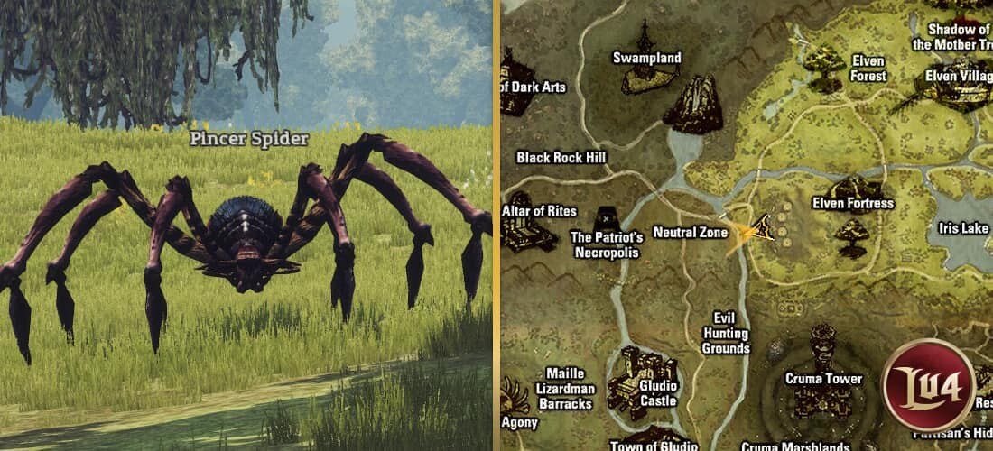 Pincer Spider l2