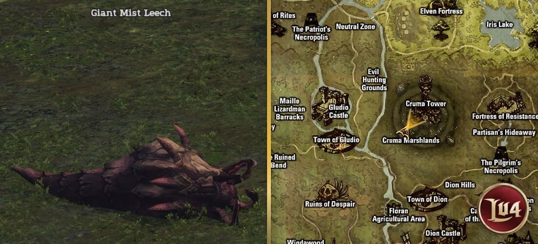 Giant Mist Leech l2